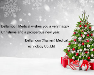 شركة Bellamoon (Xiamen) Medical Technology Co.، Ltd. نشاط بناء الفريق في عيد الميلاد